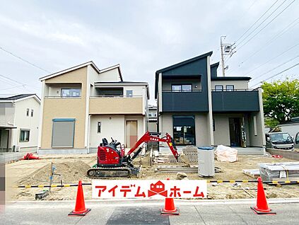全体