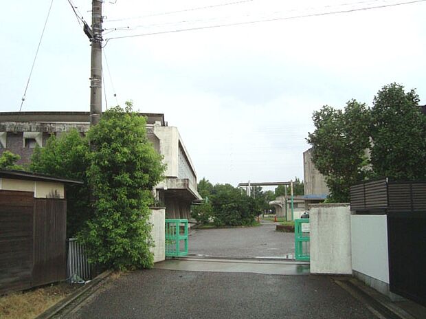江南市立草井小学校(約780m)