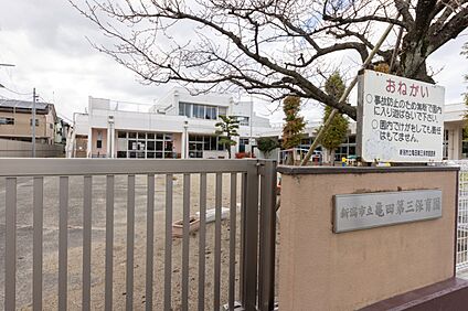 新潟市立亀田第三保育園 800ｍ(徒歩1分)