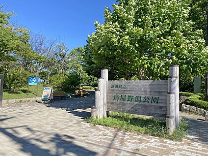 鳥屋野潟公園（女池エリア） 約870m～(徒歩11分)