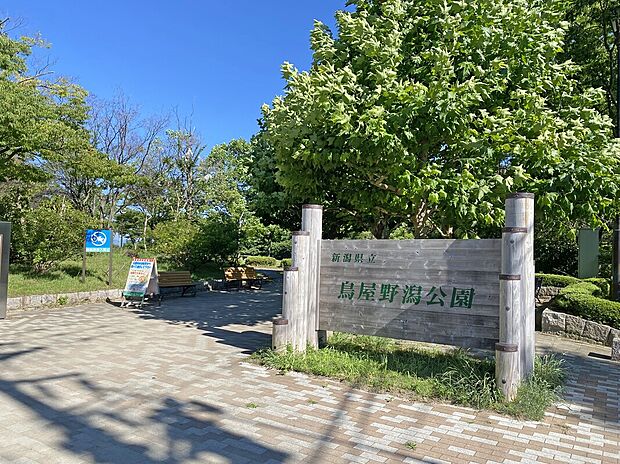 鳥屋野潟公園(女池エリア)