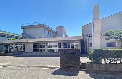 新潟市立女池小学校 約770m～(徒歩10分)
