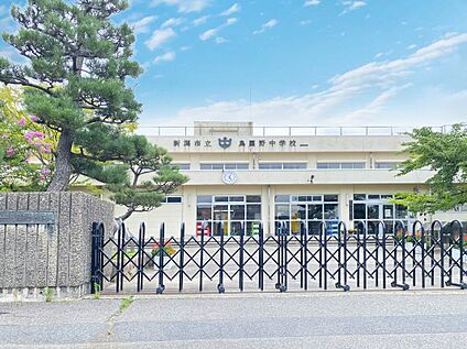 新潟市立鳥屋野中学校 約790m(徒歩10分)
