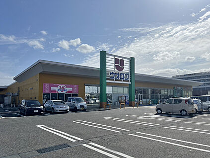 ウオロク 鳥屋野南店 約840m(徒歩11分)