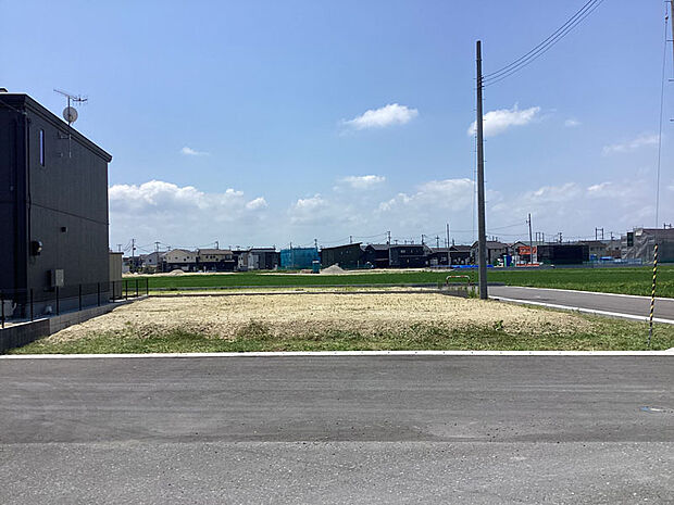 現地土地写真（2025年6月撮影）