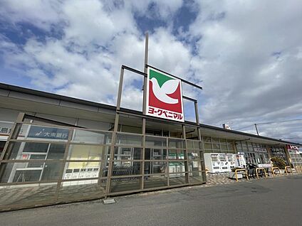 ヨークベニマル コスモス通り店 約950～980m(徒歩12～13分)