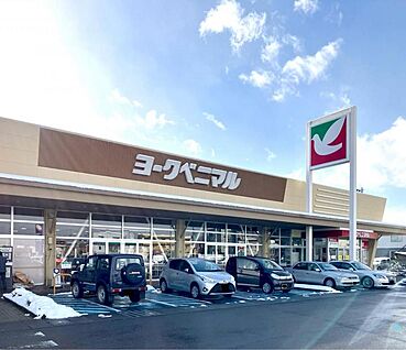 ヨークベニマル福島泉店 約490～560m(徒歩7分)