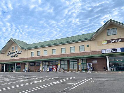 リオンドール 滝沢店 620m