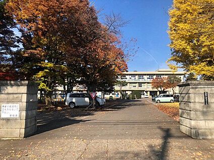 有浦小学校 260m