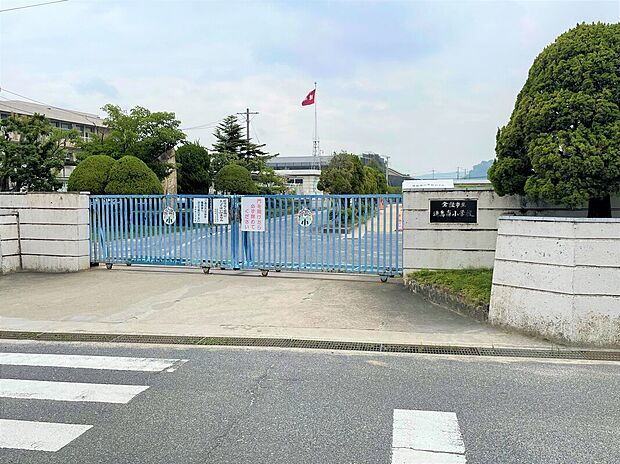 倉敷市立連島南小学校(約880m)
