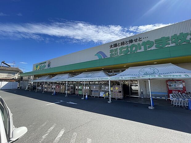 なかやま牧場（約450m）