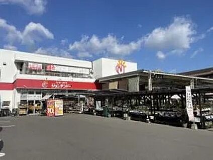ジュンテンドー庚午店 900ｍ(徒歩12分)