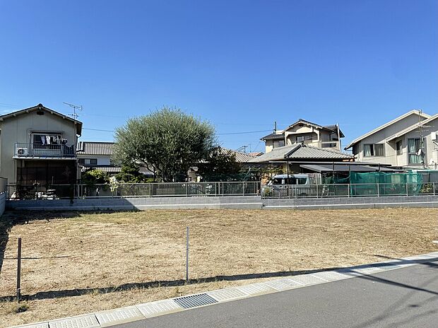 現地3号地(12月8日撮影)