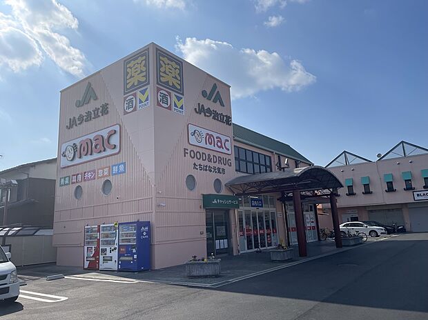 ドラッグストアmac今治立花店(約490m)