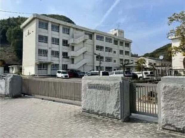 津田中学校(約750m)