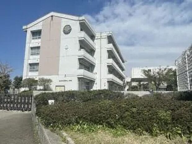 松山市立石井北小学校（約790m）