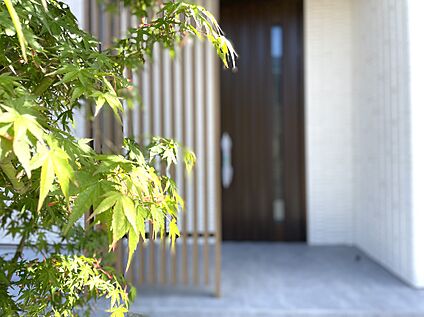 玄関周り・アプローチ