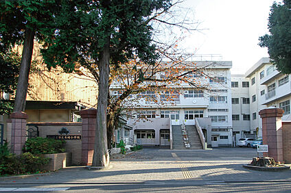 さいたま市立木崎小学校 約600ｍ