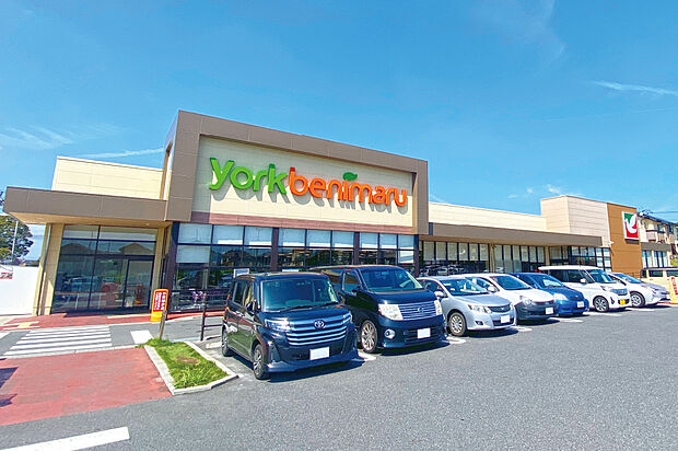 ヨークベニマル東海店