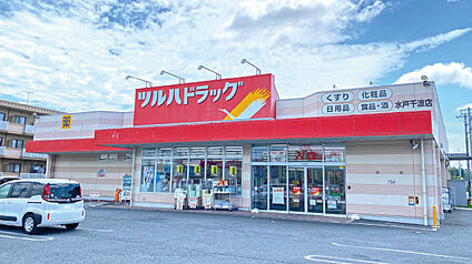 ツルハドラッグ水戸千波店 約370m～400m(徒歩5分)