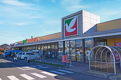 ヨークベニマル大成店 約480m～500m(徒歩6分～7分)