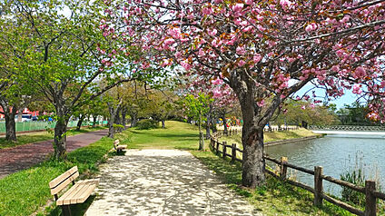 乙戸沼公園 約1190m～1280m(徒歩15分～16分)