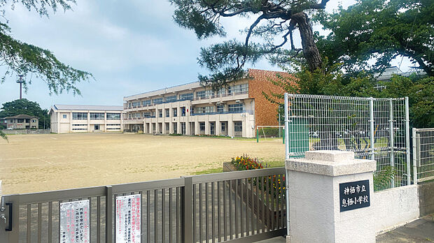息栖小学校