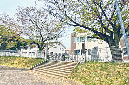 島名小学校 約580m～660m(徒歩8分～9分)