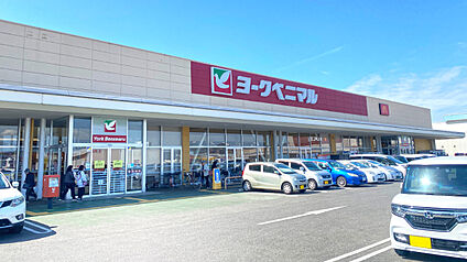 ヨークベニマル千代田モール 約1110m～1270m(徒歩14分～16分)