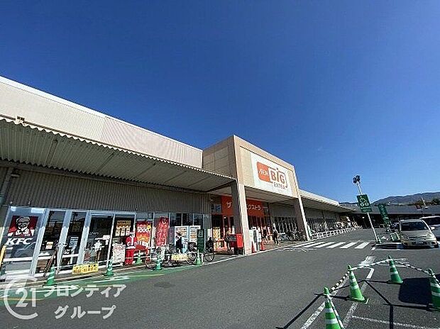 ザ・ビッグエクストラ 大安寺店（約880m）