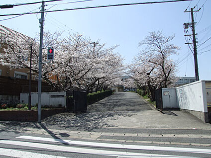 市立桜台中学校 現地から1720m。(徒歩22分。)