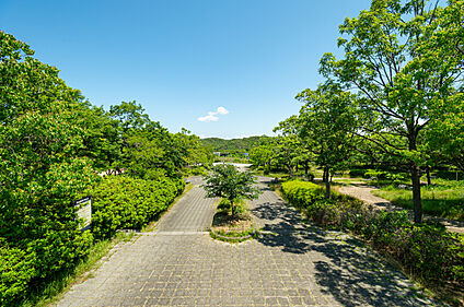 桃の木台中央公園 現地から270m～300m。(徒歩4分。(最長))