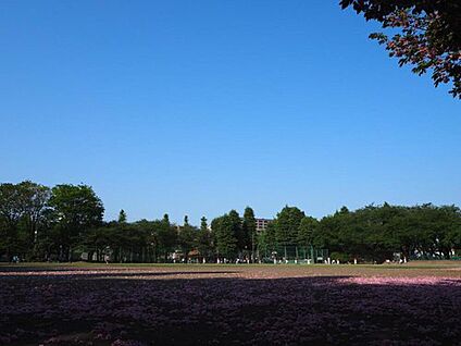 谷保第三公園 370m(徒歩5分)
