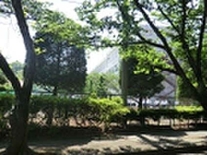 八王子市立長房中学校 800m