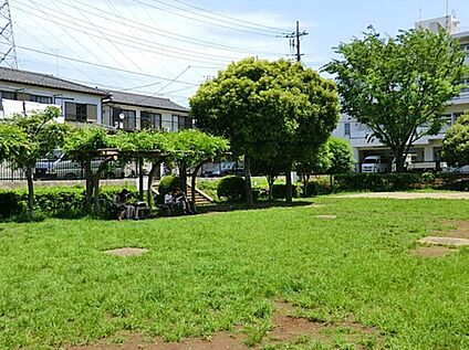 北野中央公園 501ｍ(徒歩7分)