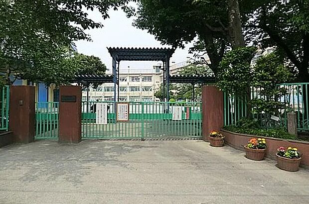 世田谷区立砧小学校（約515m）