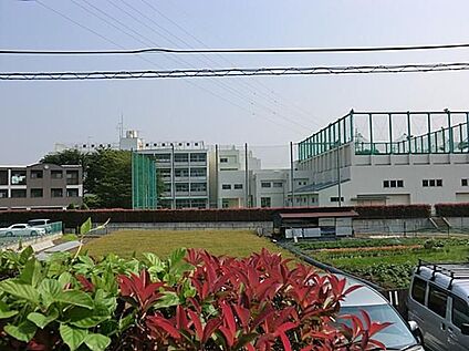 府中市立府中第九中学校 270m(徒歩4分)
