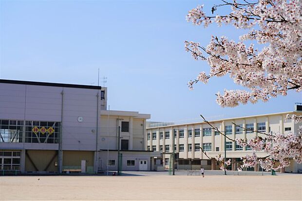 長浜市立神照小学校