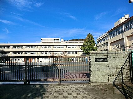 横浜市立城郷小学校 650m