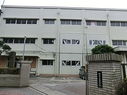 横浜市立豊田小学校 750m(10分)