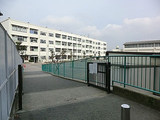 横浜市立笹野台小学校(約600m)