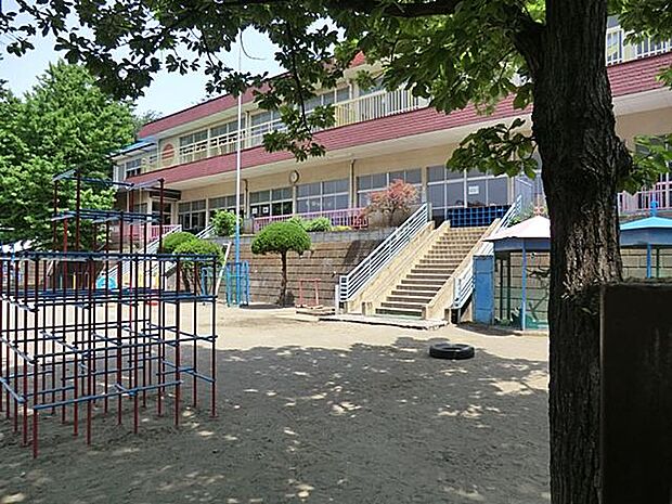 柏幼稚園(約1,000m)