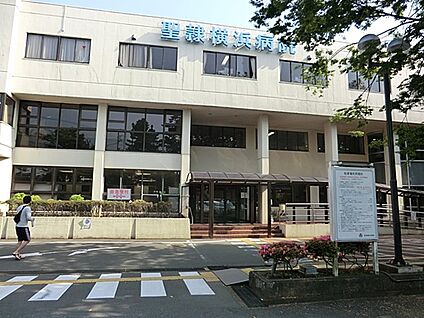 聖隷横浜病院 650m