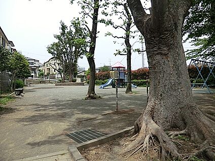 秋葉第一公園 120m
