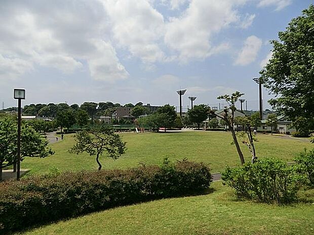 新杉田公園（約300m）