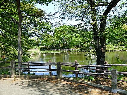 菊名池公園 550m(7分)