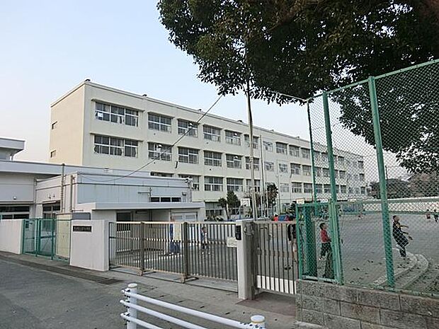 横浜市立上星川小学校（約250m）