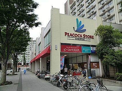 ピーコックストア洋光台店 1000m(13分)