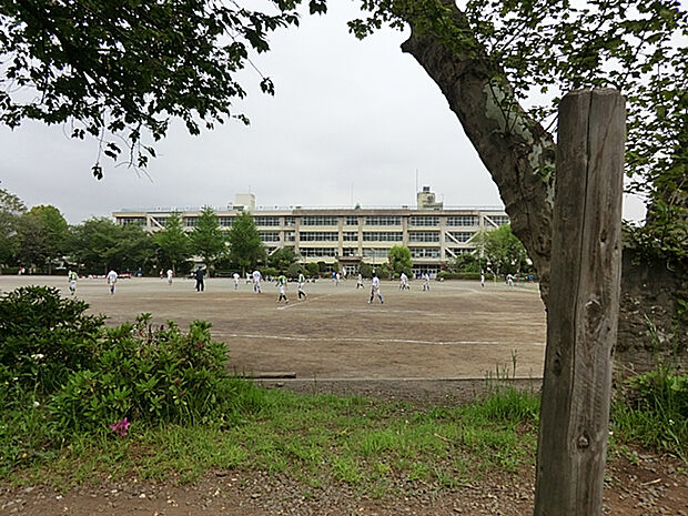 市立第一中学校（約1,743m）