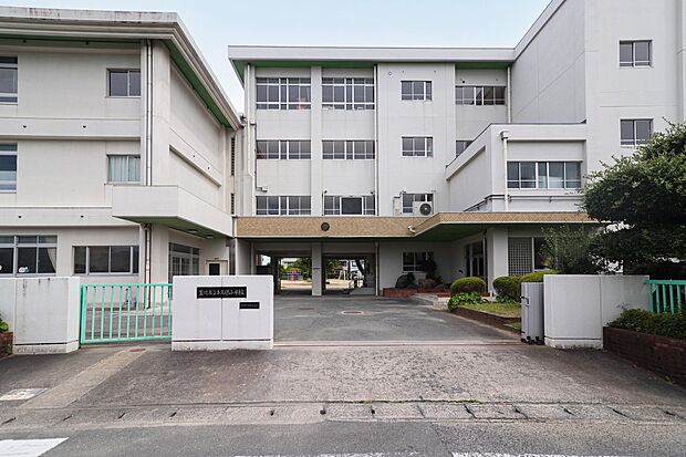 牛久保小学校(約1m)